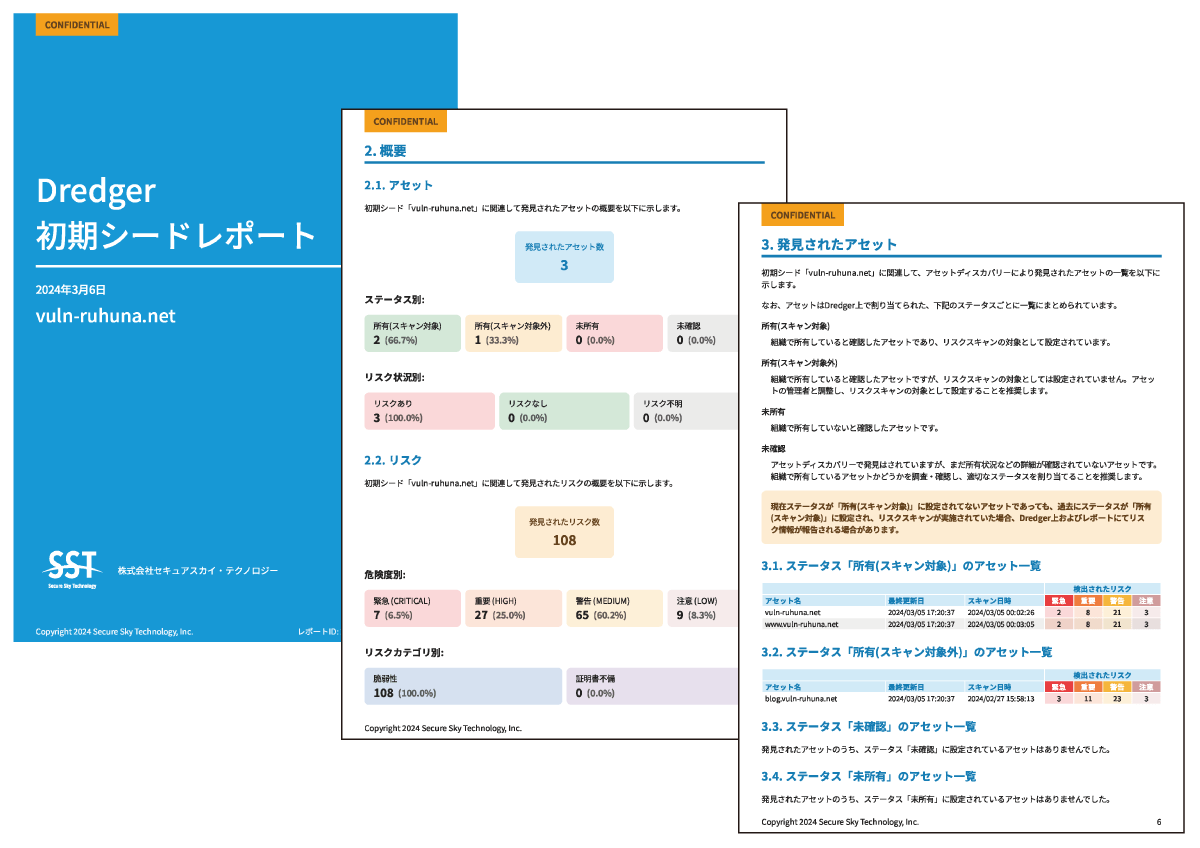 初期シードレポートイメージ