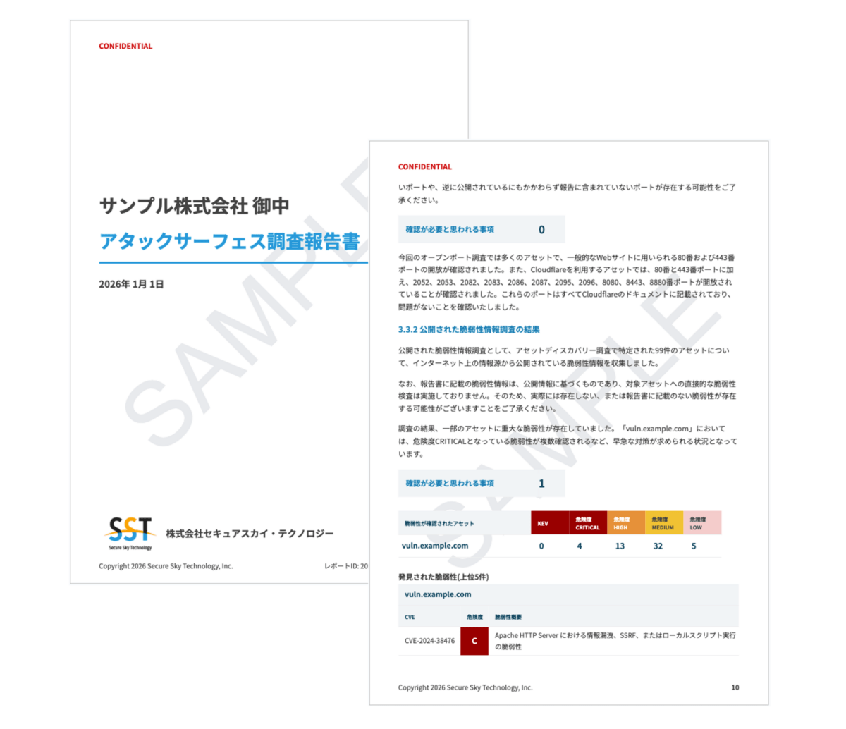 アタックサーフェス調査サービス報告書イメージ
